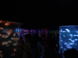 香港海洋公園 香港海洋公園