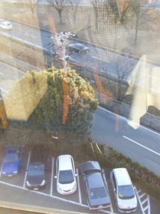 レストランから駐車場を見下ろす
